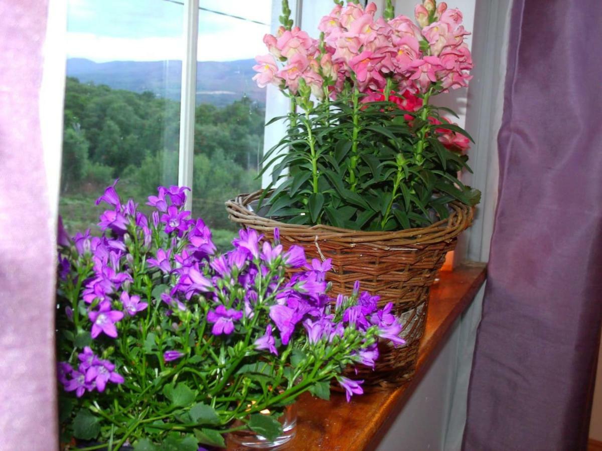 Tranquil Apartment Near Kenmare Lamanagh Kültér fotó